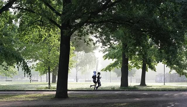 Comment choisir le meilleur équipement de course à pied