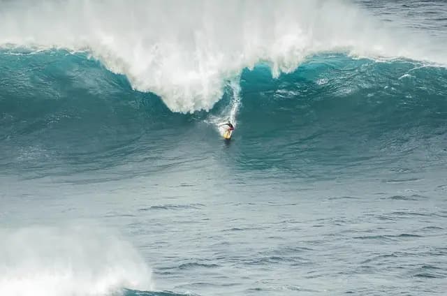 Comment choisir le bon équipement de surf pour vos débuts