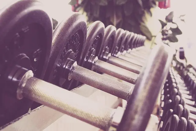 Les critères essentiels pour choisir son équipement de fitness