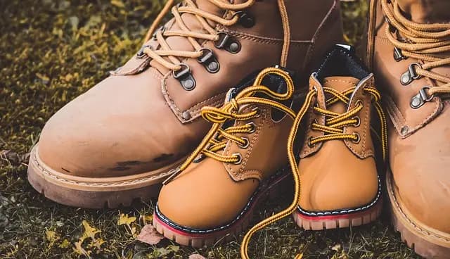 Les meilleures chaussures de randonnée pour tous les niveaux