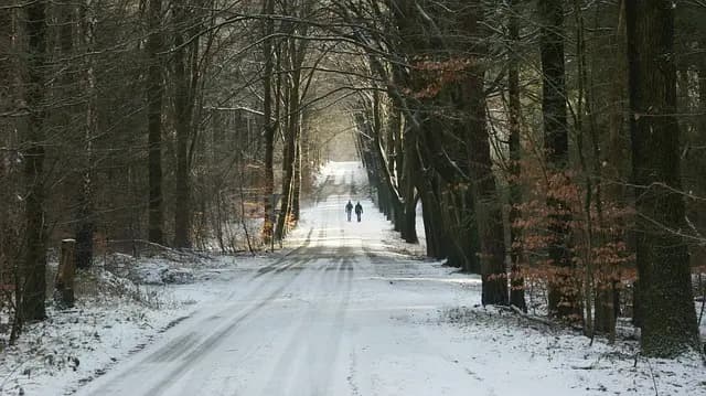 Comment bien choisir votre équipement de randonnée