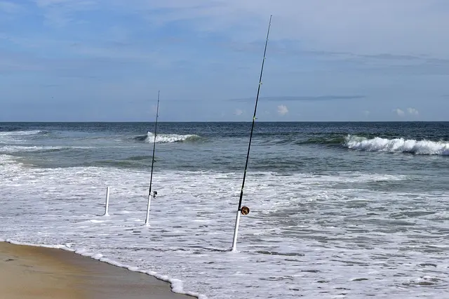Comment choisir le bon équipement de surf pour débuter