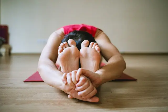 Comment choisir le bon équipement de fitness pour vos besoins