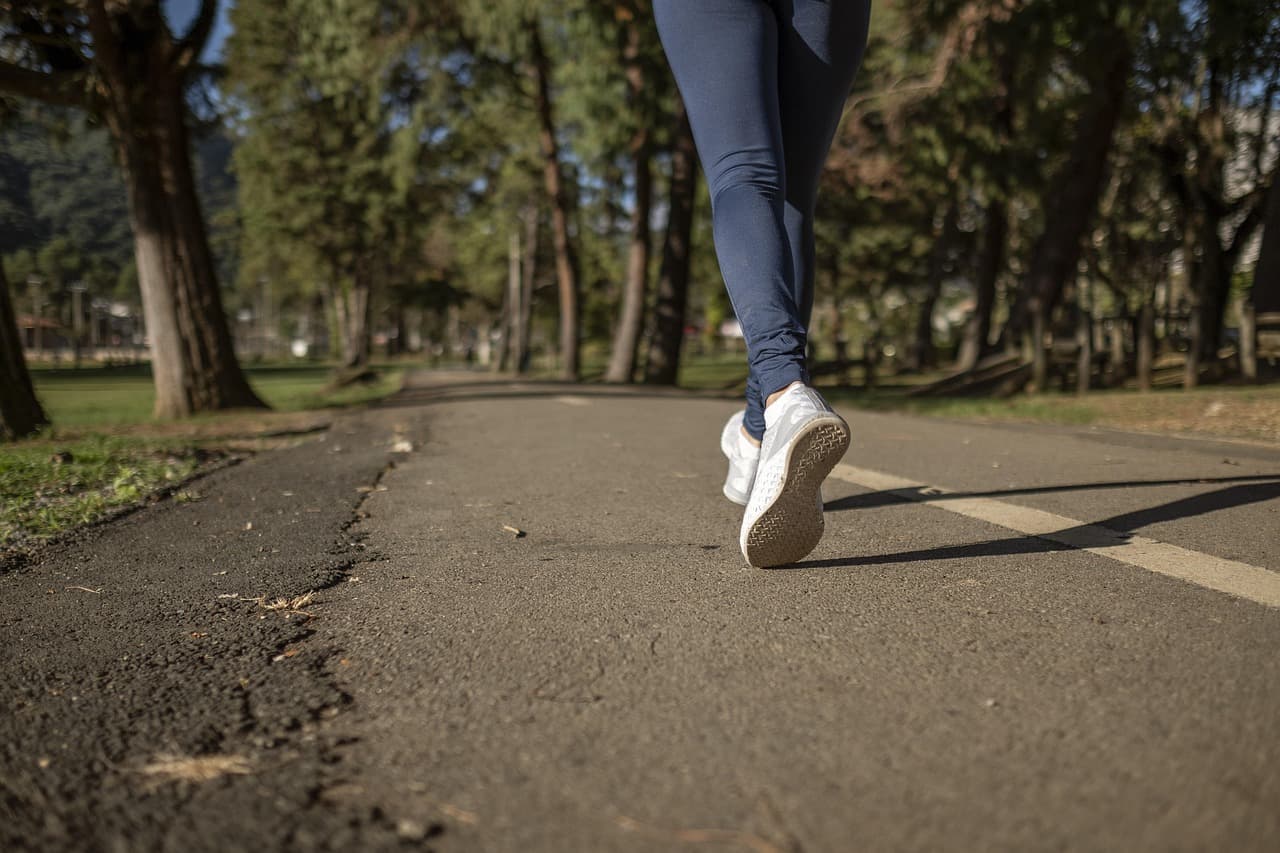 Équipements de sport incontournables pour votre trail