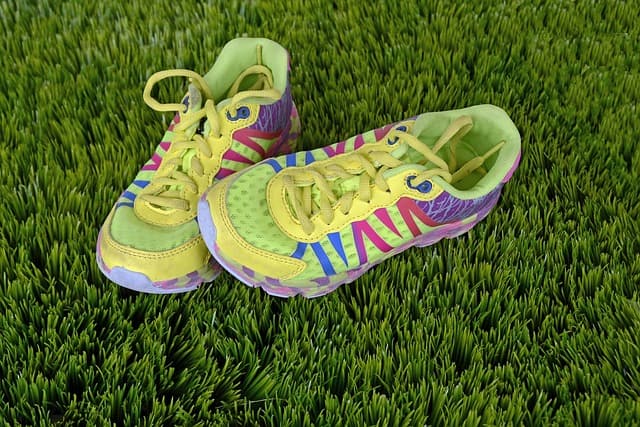 Comparatif des meilleures chaussures de course pour chaque type de coureur