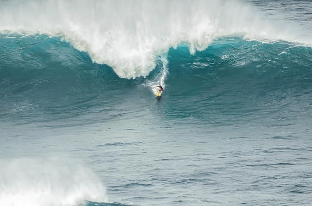 Comment choisir le bon équipement de surf pour débuter